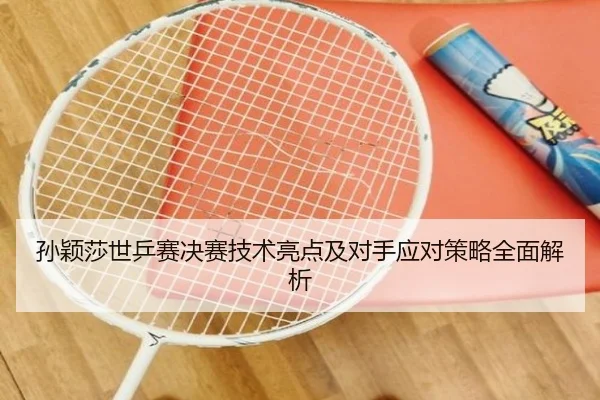 孙颖莎世乒赛决赛技术亮点及对手应对策略全面解析（6686 SPORTS）